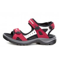 Ecco 069563(55287) OFFROAD