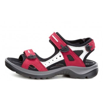 Ecco 069563(55287) OFFROAD