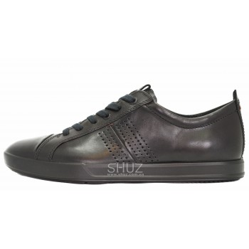 Ecco 536254(01001) COLLIN 2.0