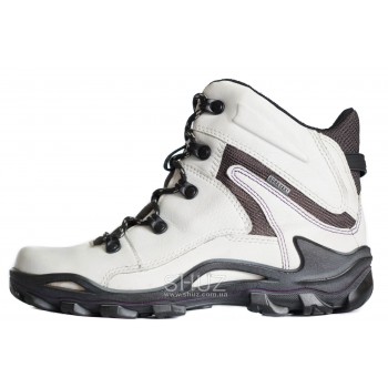 Ecco 701003(01007) TERRA VG