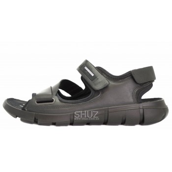 Ecco 842054(51052) INTRINSIC SANDAL